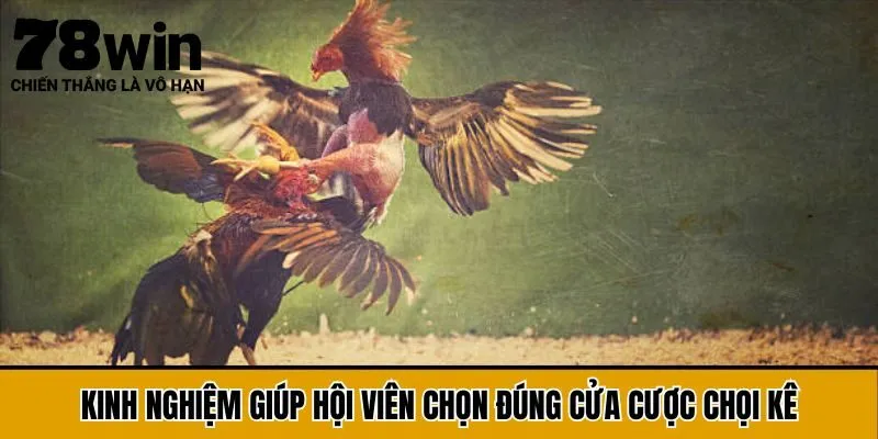 Kinh nghiệm giúp hội viên chọn đúng cửa cược chọi kê